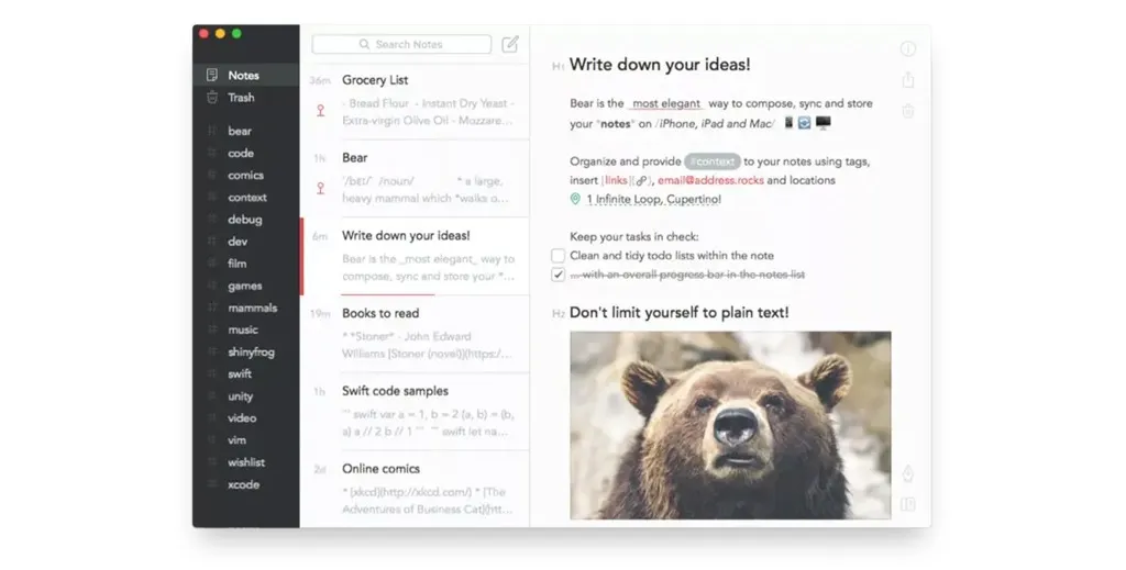 Bear notes screenshot for Apple Notes alternatives