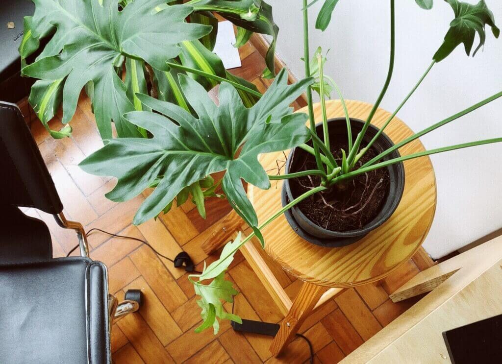 how to make an eco office